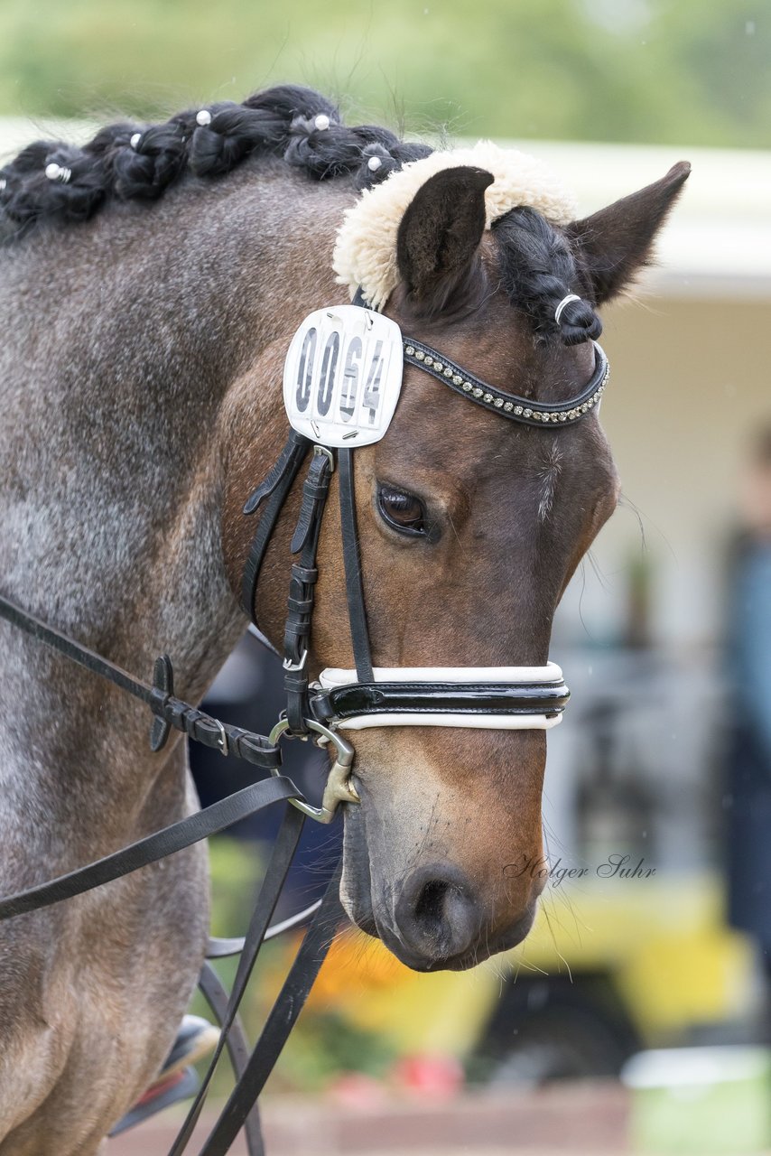 Bild 50 - Pony Akademie Turnier